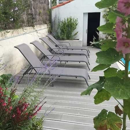 Myosotis * Saint-Palais-sur-Mer
