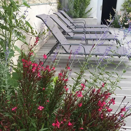 Myosotis Villa